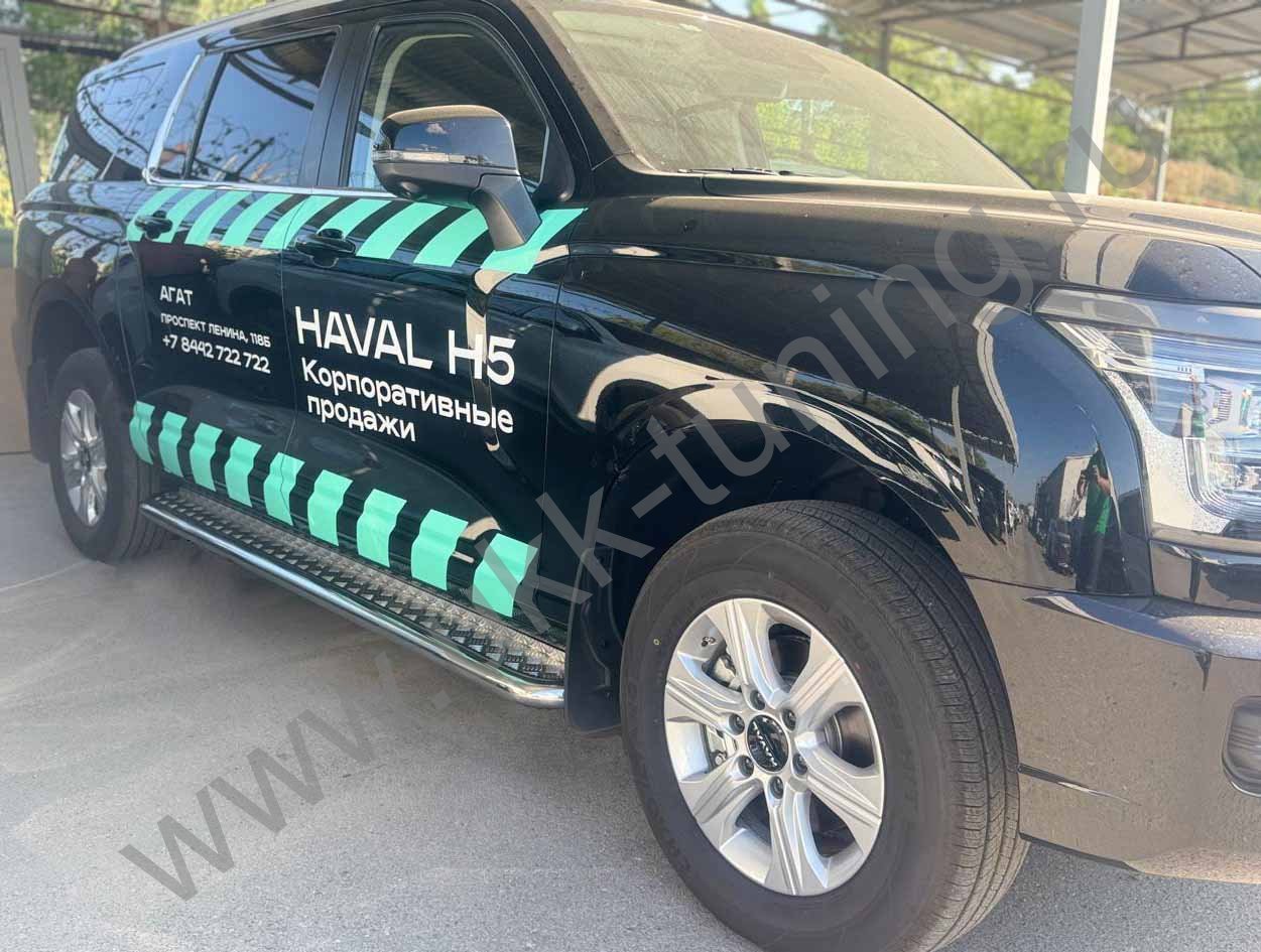 Боковые подножки Haval H5 с 2024 с накладным листом