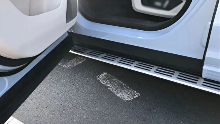 Боковые подножки Geely Tugella