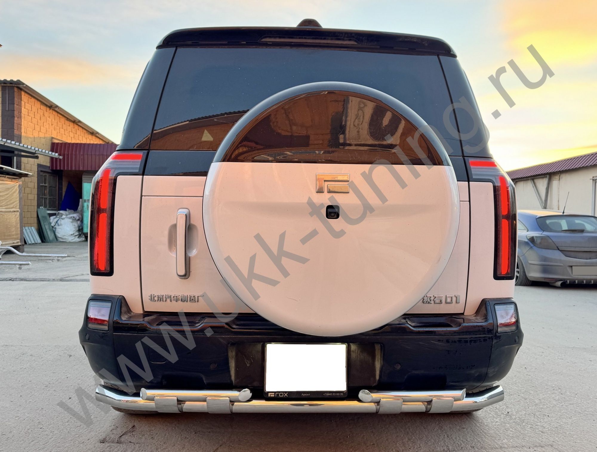 Защита заднего бампера двойная с перемычками ROX 01