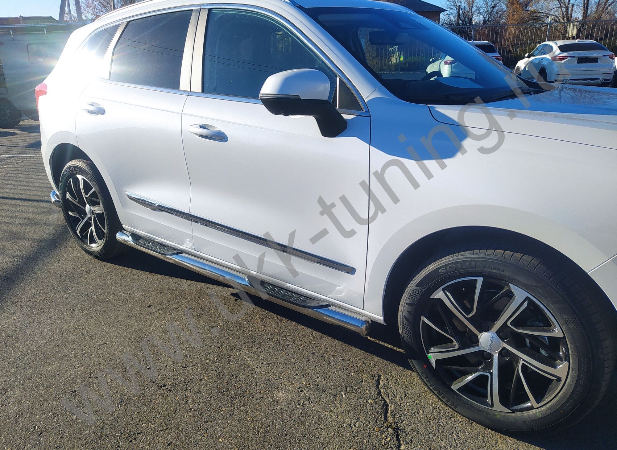 Боковые подножки Haval Jolion с 2024 труба с проступью